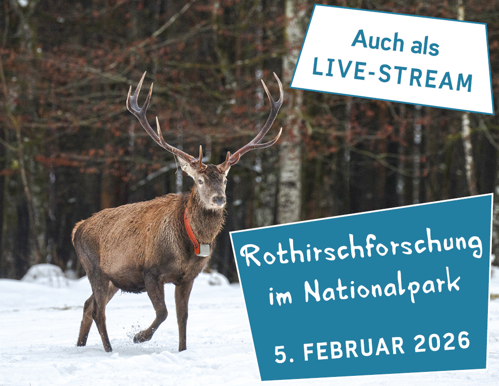 Wintervortragsreihe 2026