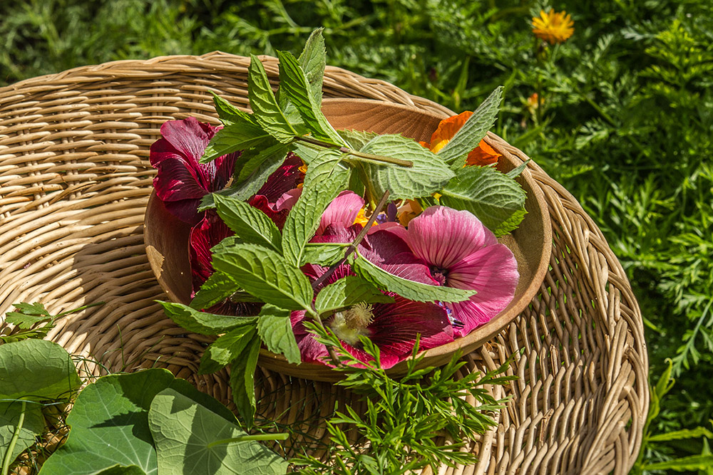 Kräuter in einem Korb in der Wiese