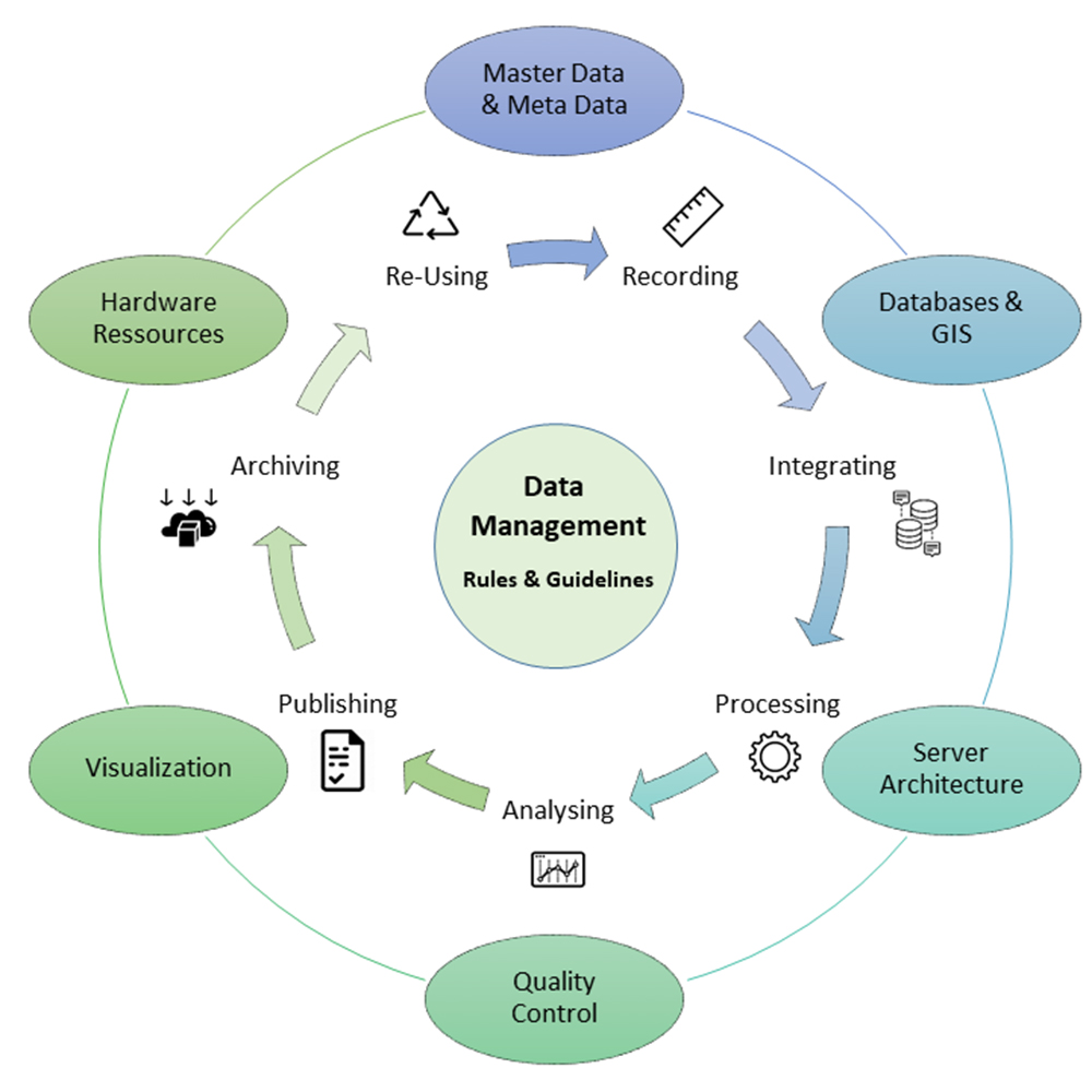 Data management is like a hub collecting, analyzes, processing and distributing data. Specific tools, rules and guidelines are crudial elements..