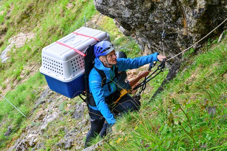 Die letzten Meter im alpinen Gelände auf dem Weg in die Nische
 - © Hansruedi Weyrich (weyrichfoto.ch)