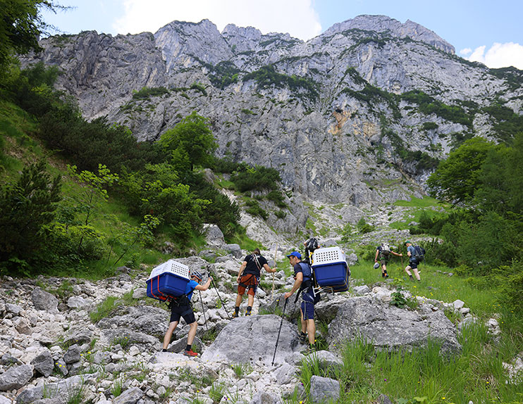 Das Team mit den Bartgeier-Boxen am Einstieg zum alpinen Gelände.

 - © Markus Leitner