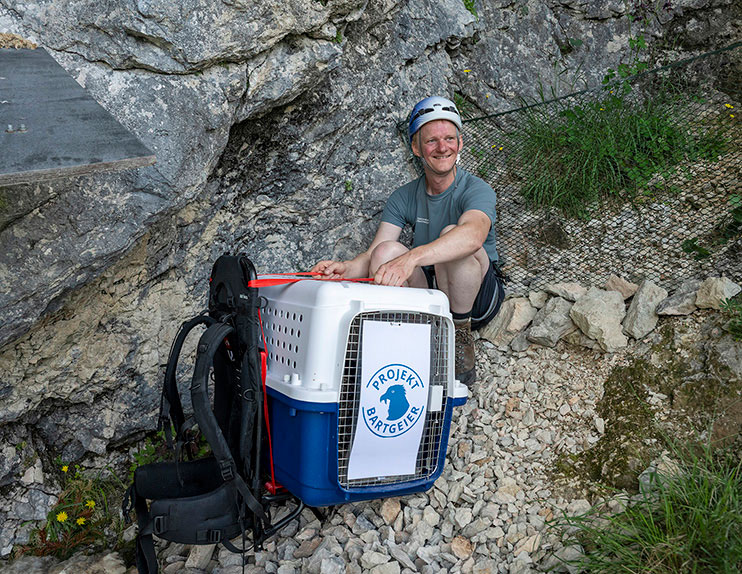 Alosa ist mit Berufsjäger Christian in der Auswilderungsnische angekommen.
 - © Hansruedi Weyrich (weyrichfoto.ch)