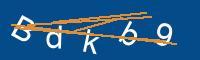 Captcha eingeben