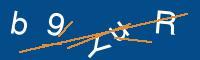 Captcha eingeben