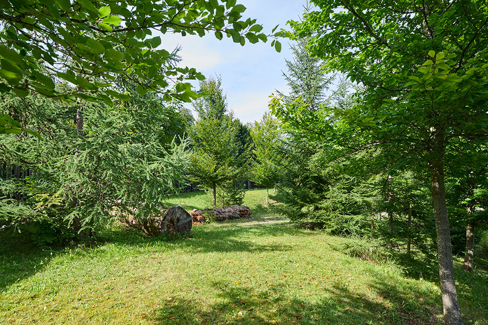 Waldplatz Außengelände Haus der Berge