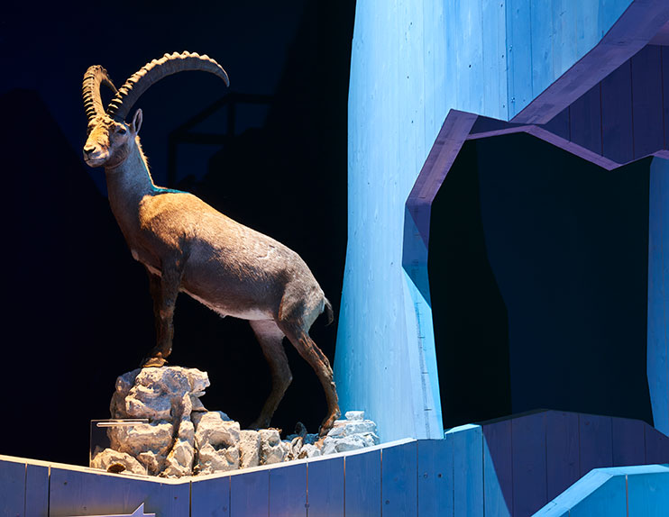 Lange Nacht der Museen