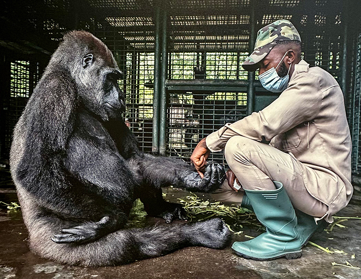 GTD Europäischer Naturfotograf des Jahres 2024 Foto: © Gerard Carbonell (ES)