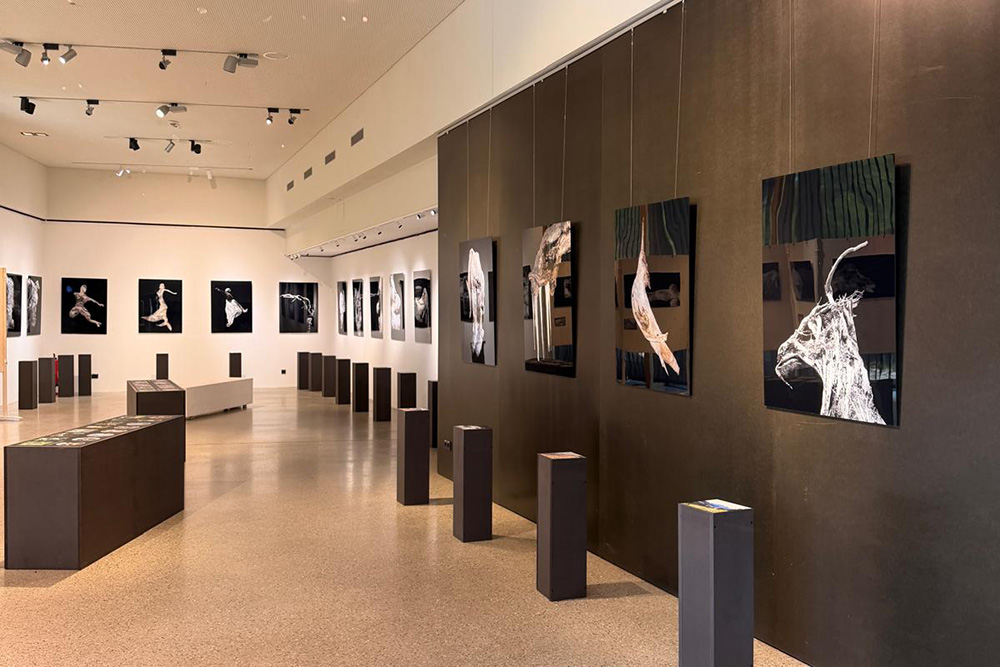Wechselausstellung
