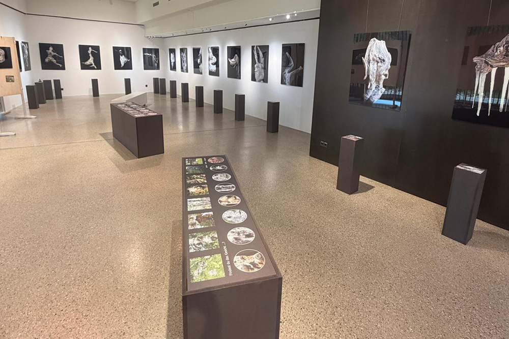 Wechselausstellung
