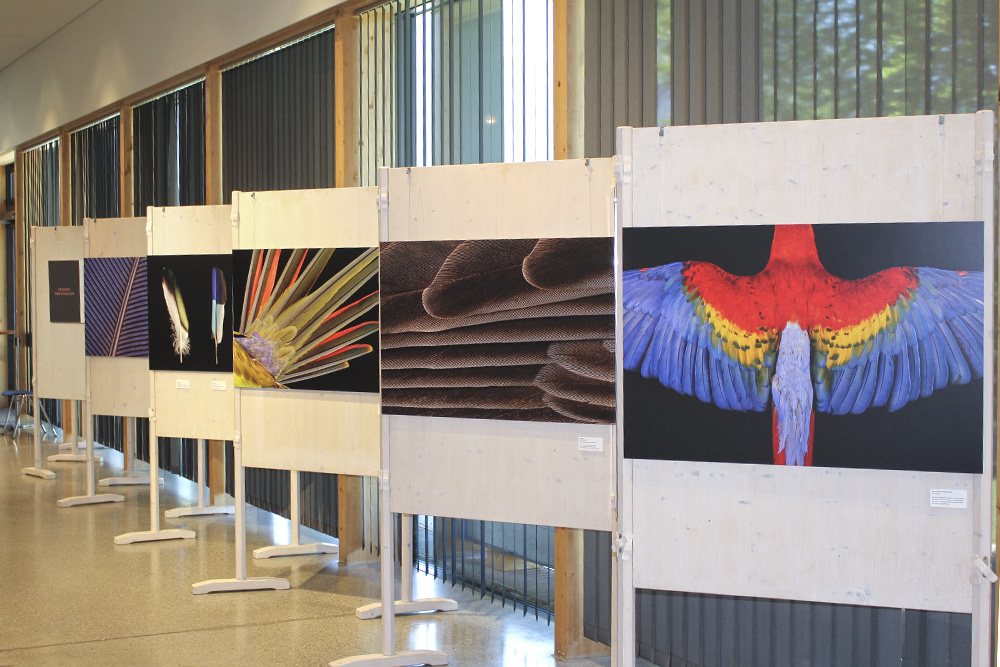 Wechselausstellung