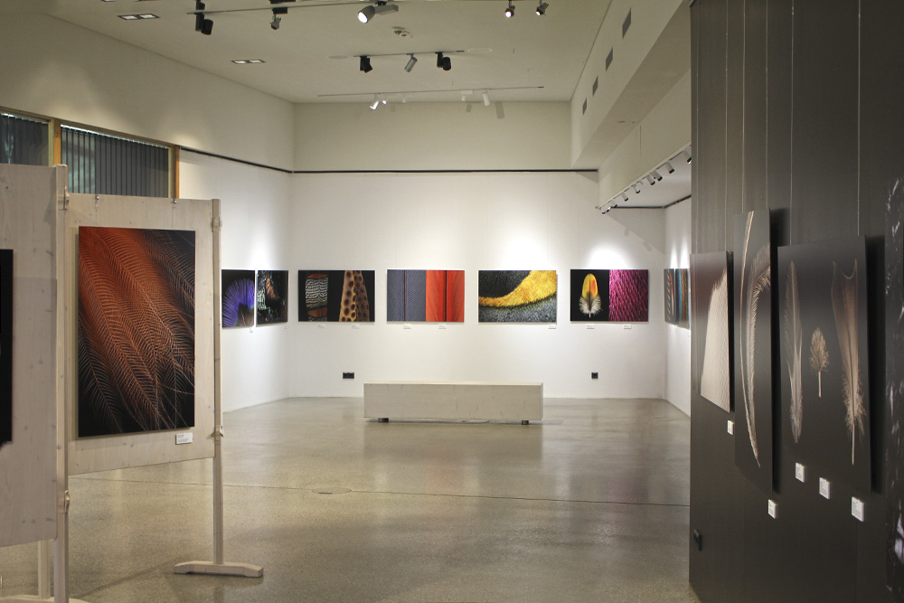 Wechselausstellung