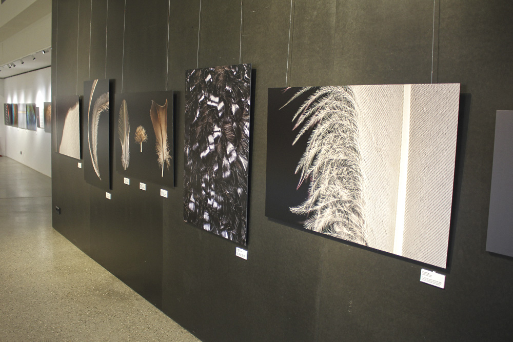 Wechselausstellung