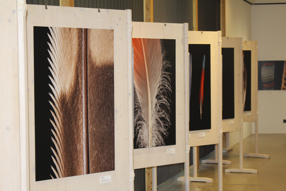 Wechselausstellung