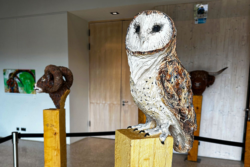 Wechselausstellung