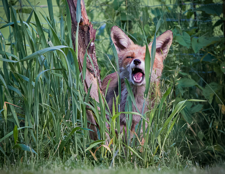 Nationalpark-Wechselausstellungen © Rosie Simpson