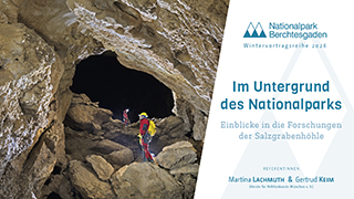 Die Aufnahme zeigt den Wintervortrag vom 08.01.2026. Auf dem Bild liegt ein Start-Button zum Aktivieren des Videos