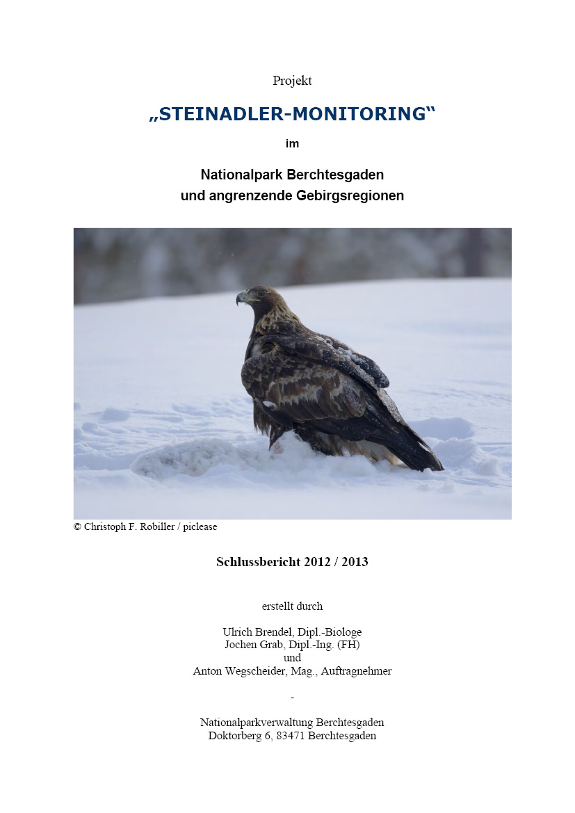 Jahresbericht Steinadlerprojekt 2012-2013
