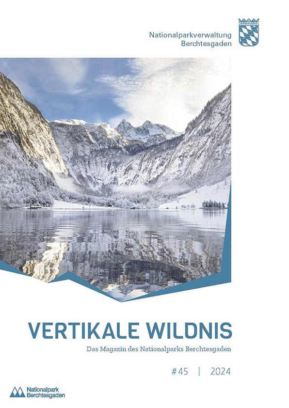 «Vertikale Wildnis» 45