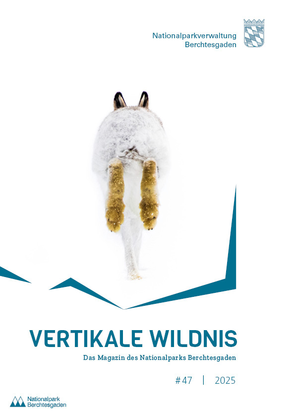 «Vertikale Wildnis» Ausgabe 47